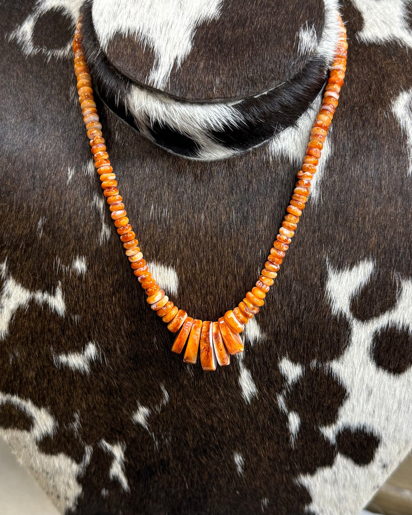 Orange Spiny Shell Necklace 16”