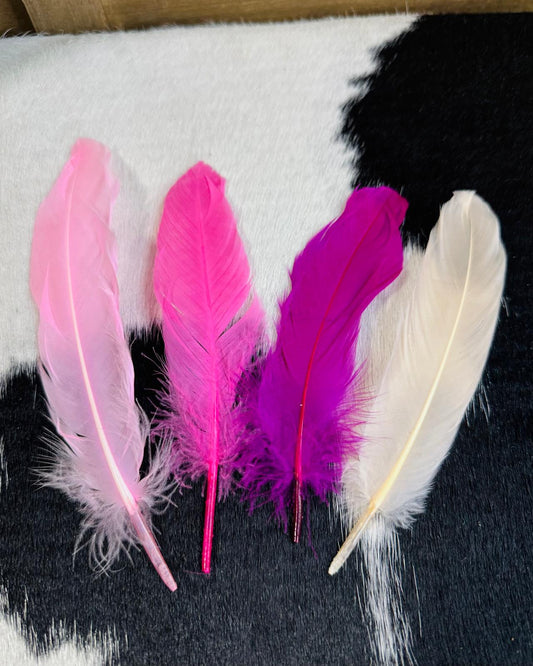 Colorful Hat Feathers