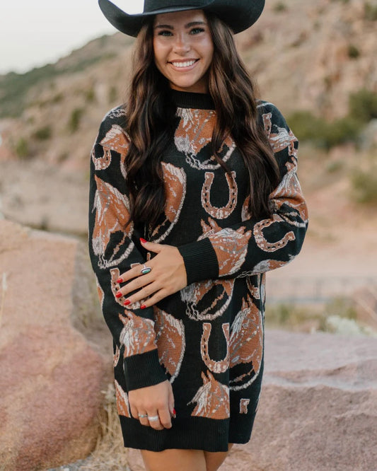 Ruidoso Sweater Dress