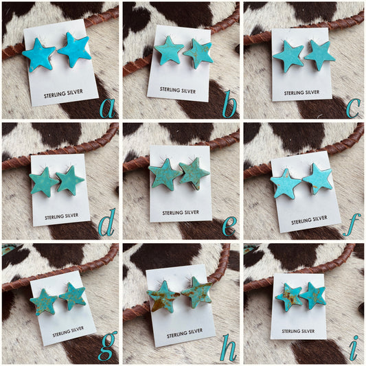 Donovan Skeet Star Stud Kingman Earrings *Native