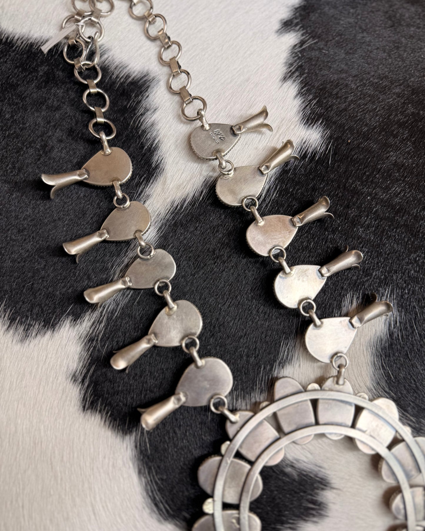 Wild Horse Squash Blossom