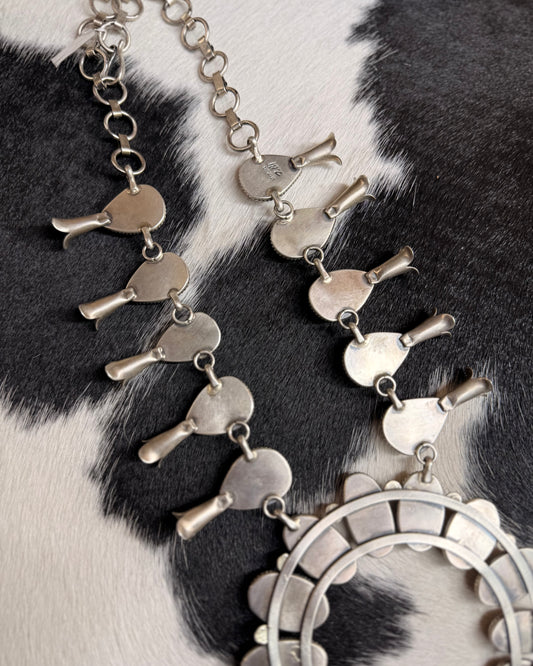 Wild Horse Squash Blossom