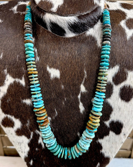25" All Turquoise & Brown Necklace
