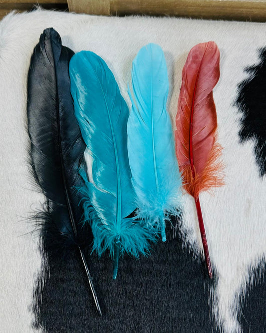 Colorful Hat Feathers